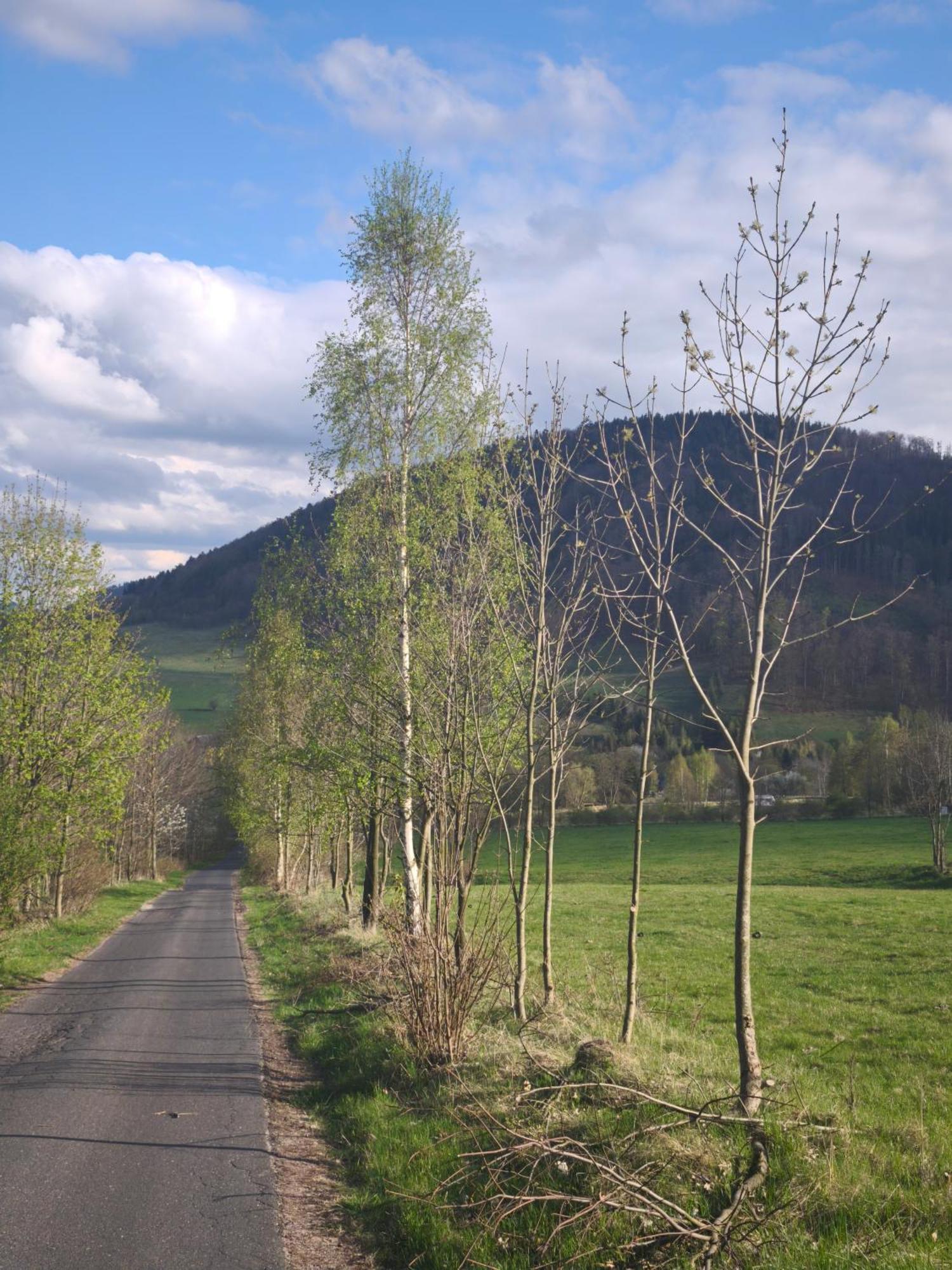 Mia Domo - Wypoczynek W Gorach Suchych, Kamiennych I Sowich Vila Gluszyca Exterior foto
