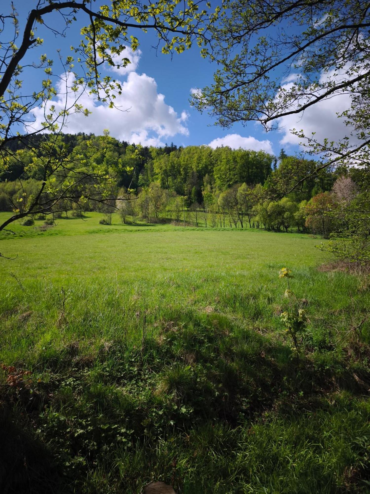 Mia Domo - Wypoczynek W Gorach Suchych, Kamiennych I Sowich Vila Gluszyca Exterior foto